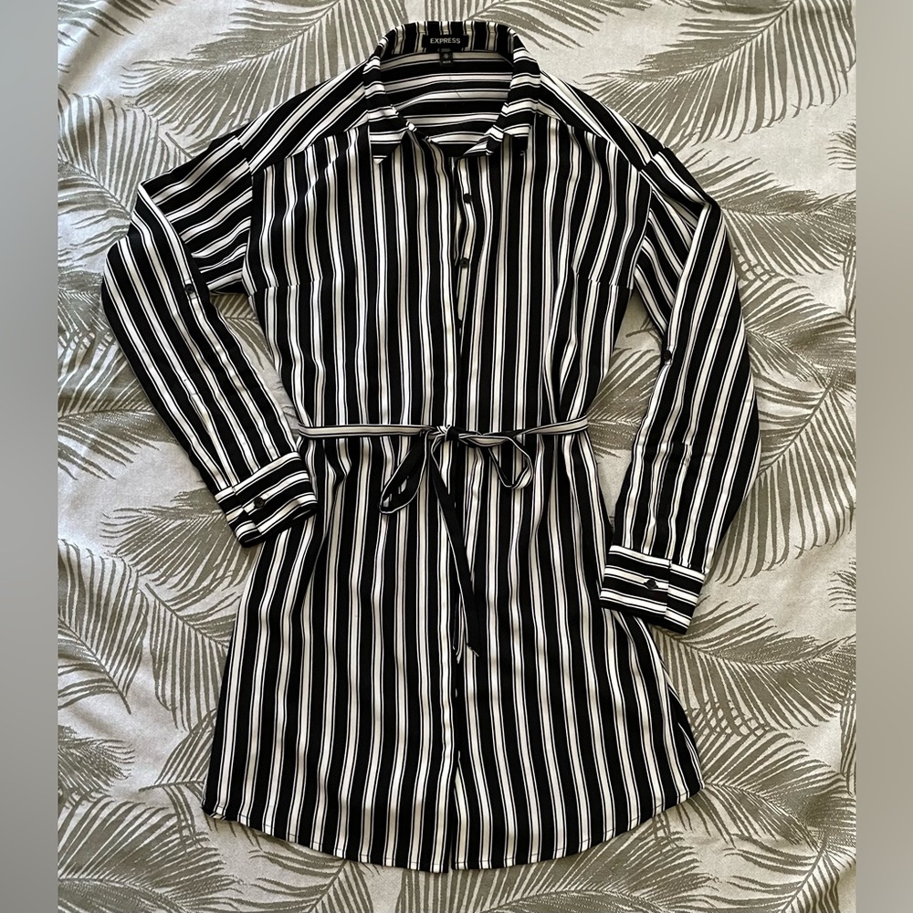 Express Striped Long Sleeve Shirt Dress